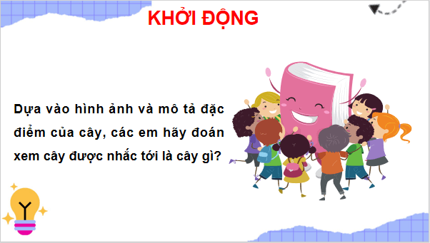 Giáo án điện tử TNXH lớp 3 Chân trời sáng tạo Bài 15: Lá, thân, rễ của thực vật | PPT Tự nhiên và xã hội lớp 3