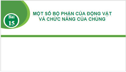 Giáo án điện tử TNXH lớp 3 Kết nối tri thức Bài 15: Một số bộ phân của động vật và chức năng của chúng | PPT Tự nhiên và xã hội lớp 3