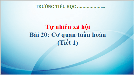 Giáo án điện tử TNXH lớp 3 Kết nối tri thức Bài 20: Cơ quan tuần hoàn | PPT Tự nhiên và xã hội lớp 3