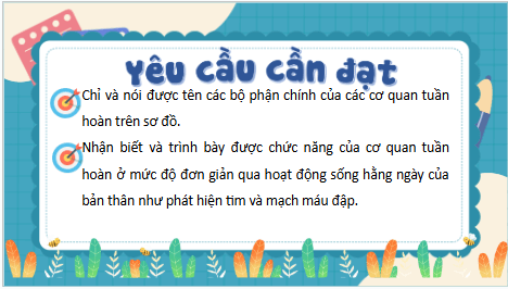 Giáo án điện tử TNXH lớp 3 Kết nối tri thức Bài 20: Cơ quan tuần hoàn | PPT Tự nhiên và xã hội lớp 3