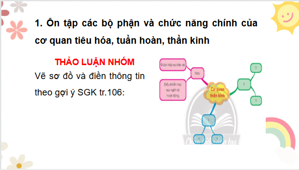 Giáo án điện tử TNXH lớp 3 Chân trời sáng tạo Bài 25: Ôn tập chủ đề con người và sức khỏe | PPT Tự nhiên và xã hội lớp 3