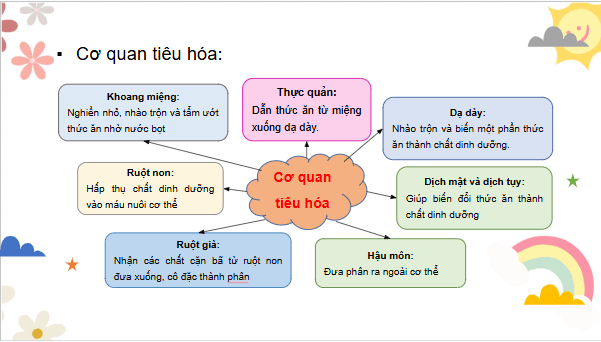 Giáo án điện tử TNXH lớp 3 Chân trời sáng tạo Bài 25: Ôn tập chủ đề con người và sức khỏe | PPT Tự nhiên và xã hội lớp 3