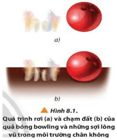 Giáo án Vật Lí 10 Chân trời sáng tạo Bài 8: Thực hành đo gia tốc rơi tự do