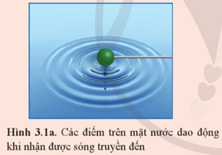 Giáo án Vật Lí 11 Cánh diều Bài 3: Giao thoa sóng