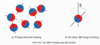 Giáo án Chuyên đề Vật Lí 12 Kết nối tri thức Bài 8: Chụp cộng hưởng từ