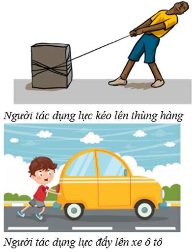 Giáo án Vật Lí 6 Bài 6: Lực - Hai lực cân bằng mới nhất