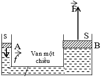 Giáo án Vật Lí 8 Bài 8: Áp suất chất lỏng - Bình thông nhau (tiếp theo) mới nhất