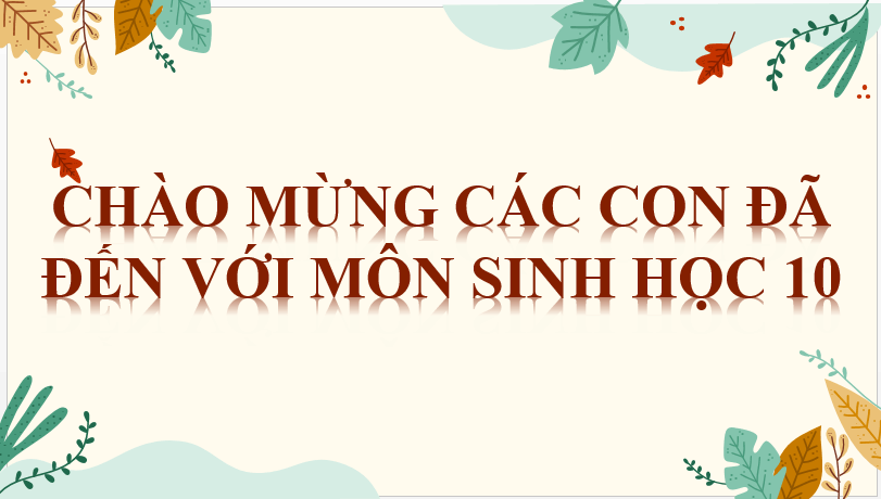 Giáo án điện tử Sinh 10 Cánh diều | Bài giảng POWERPOINT (PPT) Sinh học 10