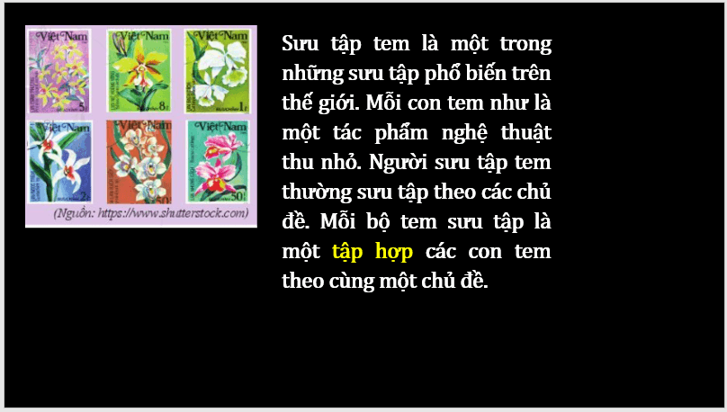 Giáo án điện tử Toán 6 Cánh diều Bài 1: Tập hợp | PPT Toán 6