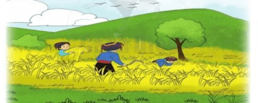 Giáo án Âm nhạc lớp 2 Cánh diều (năm 2025 mới nhất)