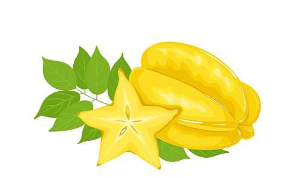 Giáo án Chuyên đề Ngữ văn 10 Kết nối tri thức (năm 2026 mới nhất) | Giáo án Chuyên đề học tập Ngữ văn 10