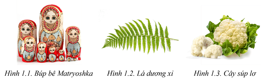 Giáo án Chuyên đề Tin học 11 Kết nối tri thức (năm 2026 mới nhất) | Giáo án Chuyên đề học tập Tin học 11