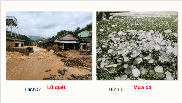 Giáo án điện tử Chuyên đề Địa Lí 12 Chân trời sáng tạo (hay nhất) | Bài giảng powerpoint (PPT) Chuyên đề Địa 12