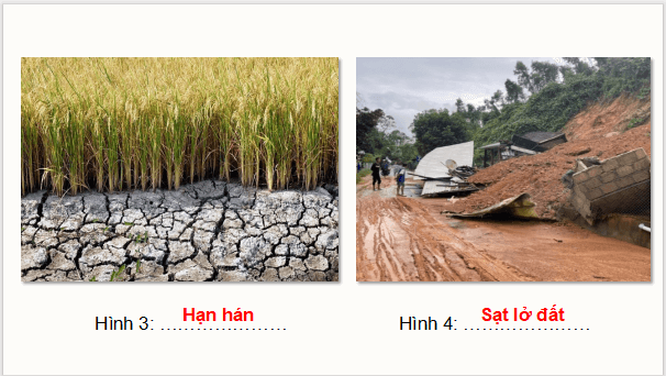 Giáo án điện tử Chuyên đề Địa Lí 12 Kết nối tri thức (hay nhất) | Bài giảng powerpoint (PPT) Chuyên đề Địa 12