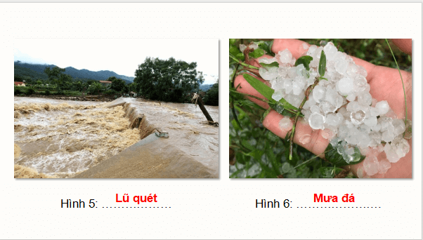 Giáo án điện tử Chuyên đề Địa Lí 12 Kết nối tri thức (hay nhất) | Bài giảng powerpoint (PPT) Chuyên đề Địa 12