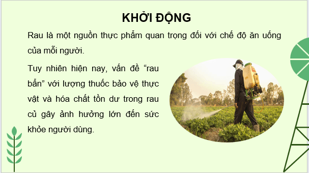 Giáo án điện tử Chuyên đề Sinh học 11 Kết nối tri thức (hay nhất) | Bài giảng powerpoint (PPT) Chuyên đề Sinh 11