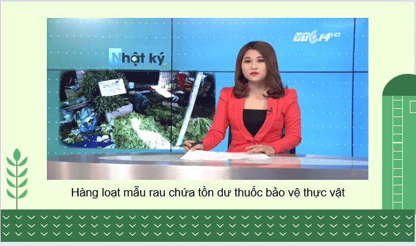 Giáo án điện tử Chuyên đề Sinh học 11 Kết nối tri thức (hay nhất) | Bài giảng powerpoint (PPT) Chuyên đề Sinh 11