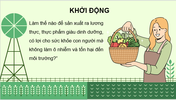 Giáo án điện tử Chuyên đề Sinh học 11 Kết nối tri thức (hay nhất) | Bài giảng powerpoint (PPT) Chuyên đề Sinh 11