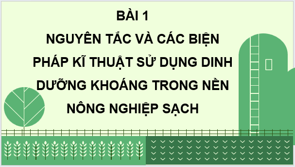 Giáo án điện tử Chuyên đề Sinh học 11 Kết nối tri thức (hay nhất) | Bài giảng powerpoint (PPT) Chuyên đề Sinh 11