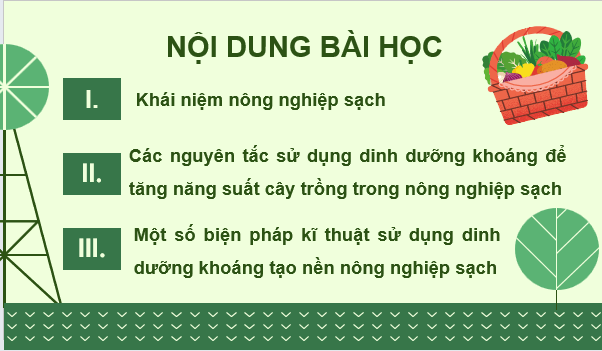 Giáo án điện tử Chuyên đề Sinh học 11 Kết nối tri thức (hay nhất) | Bài giảng powerpoint (PPT) Chuyên đề Sinh 11