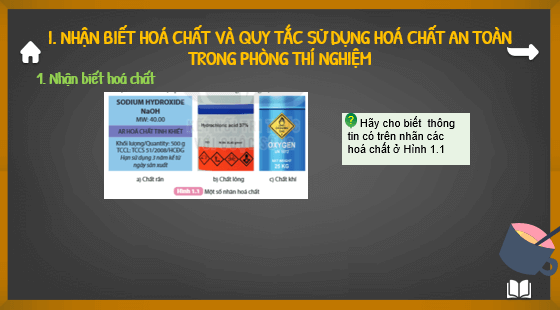 Giáo án điện tử Khoa học tự nhiên 8 Kết nối tri thức (hay nhất) | Bài giảng powerpoint (PPT) Khoa học 8