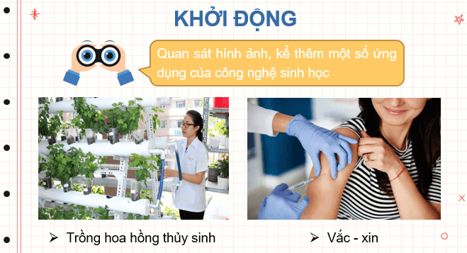 Giáo án điện tử Sinh học 10 Chân trời sáng tạo (hay nhất) | Bài giảng powerpoint (PPT) Sinh 10