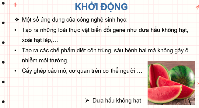 Giáo án điện tử Sinh học 10 Chân trời sáng tạo (hay nhất) | Bài giảng powerpoint (PPT) Sinh 10