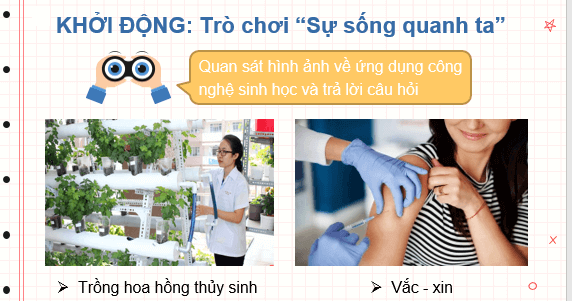 Giáo án điện tử Sinh học 10 Kết nối tri thức (hay nhất) | Bài giảng powerpoint (PPT) Sinh 10