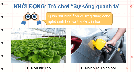 Giáo án điện tử Sinh học 10 Kết nối tri thức (hay nhất) | Bài giảng powerpoint (PPT) Sinh 10