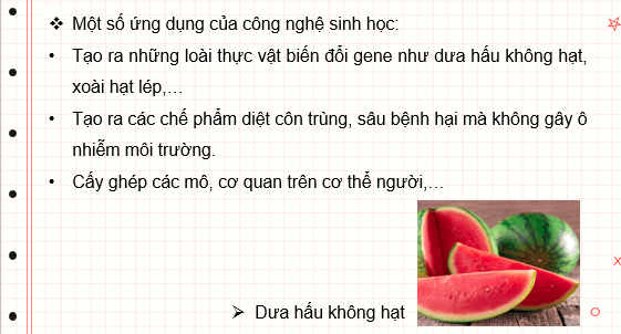 Giáo án điện tử Sinh học 10 Kết nối tri thức (hay nhất) | Bài giảng powerpoint (PPT) Sinh 10