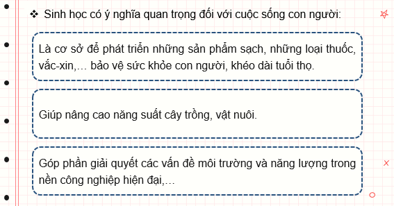 Giáo án điện tử Sinh học 10 Kết nối tri thức (hay nhất) | Bài giảng powerpoint (PPT) Sinh 10