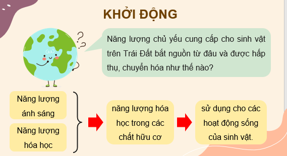 Giáo án điện tử Sinh học 11 Cánh diều (hay nhất) | Bài giảng powerpoint (PPT) Sinh 11