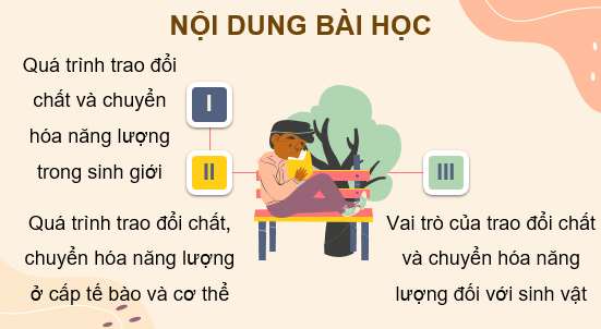 Giáo án điện tử Sinh học 11 Cánh diều (hay nhất) | Bài giảng powerpoint (PPT) Sinh 11