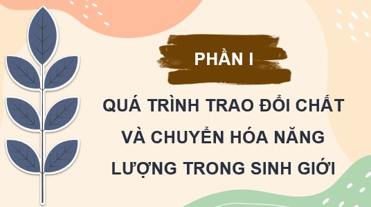 Giáo án điện tử Sinh học 11 Cánh diều (hay nhất) | Bài giảng powerpoint (PPT) Sinh 11