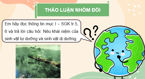 Giáo án điện tử Sinh học 11 Cánh diều (hay nhất) | Bài giảng powerpoint (PPT) Sinh 11