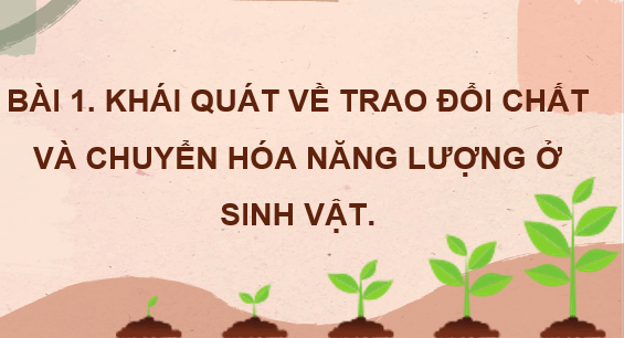 Giáo án điện tử Sinh học 11 Chân trời sáng tạo (hay nhất) | Bài giảng powerpoint (PPT) Sinh 11