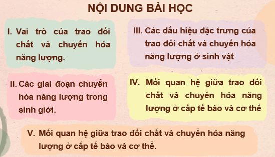 Giáo án điện tử Sinh học 11 Chân trời sáng tạo (hay nhất) | Bài giảng powerpoint (PPT) Sinh 11