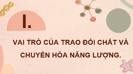 Giáo án điện tử Sinh học 11 Chân trời sáng tạo (hay nhất) | Bài giảng powerpoint (PPT) Sinh 11