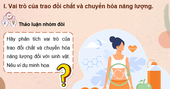 Giáo án điện tử Sinh học 11 Chân trời sáng tạo (hay nhất) | Bài giảng powerpoint (PPT) Sinh 11