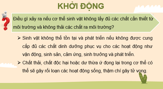 Giáo án điện tử Sinh học 11 Kết nối tri thức (hay nhất) | Bài giảng powerpoint (PPT) Sinh 11