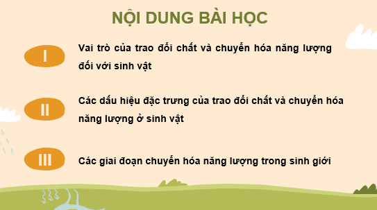 Giáo án điện tử Sinh học 11 Kết nối tri thức (hay nhất) | Bài giảng powerpoint (PPT) Sinh 11