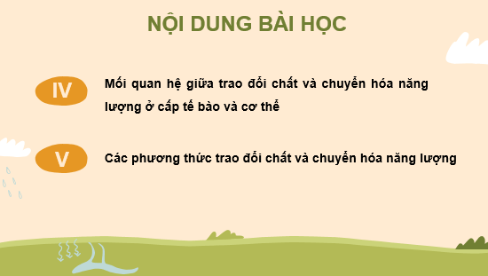 Giáo án điện tử Sinh học 11 Kết nối tri thức (hay nhất) | Bài giảng powerpoint (PPT) Sinh 11