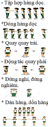 Giáo án Giáo dục thể chất lớp 3 Chân trời sáng tạo (năm 2024 mới nhất)