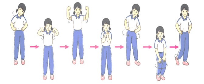 Giáo án Giáo dục thể chất lớp 4 Kết nối tri thức (năm 2026 mới nhất)