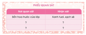 Giáo án Hoạt động trải nghiệm lớp 3 Cánh diều (năm 2024 mới nhất)