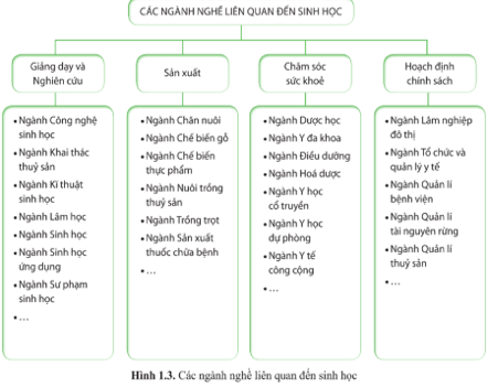 Giáo án Sinh 10 Cánh diều (năm 2024 mới nhất) | Giáo án Sinh học 10