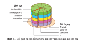 Giáo án Sinh 10 Cánh diều (năm 2024 mới nhất) | Giáo án Sinh học 10