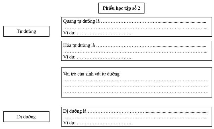 Giáo án Sinh 11 Kết nối tri thức (năm 2024 mới nhất) | Giáo án Sinh học 11