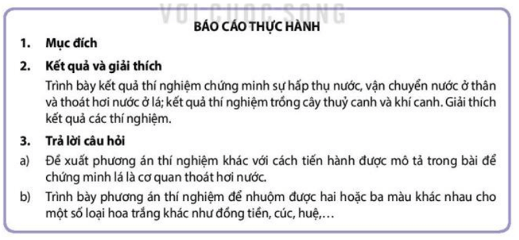 Giáo án Sinh 11 Kết nối tri thức (năm 2025 mới nhất) | Giáo án Sinh học 11