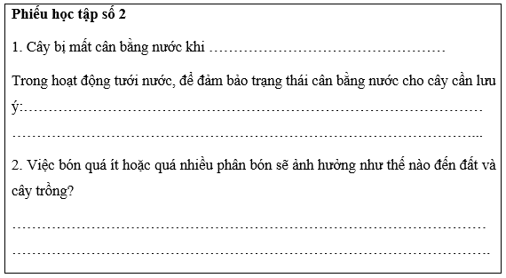Giáo án Sinh 11 Kết nối tri thức (năm 2025 mới nhất) | Giáo án Sinh học 11